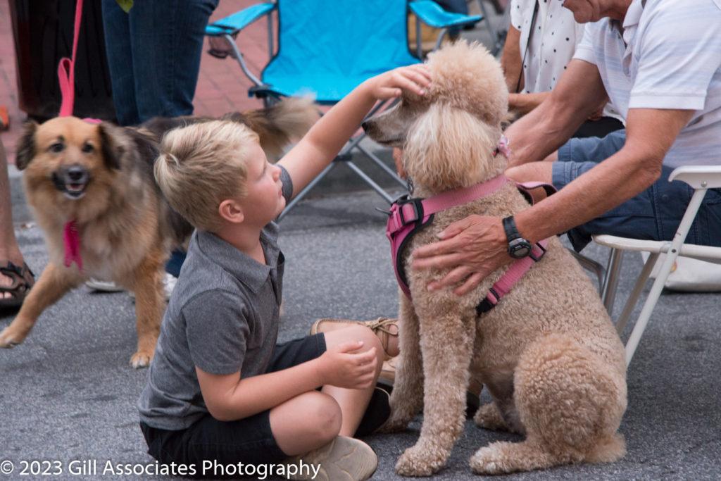 A kid petting a dog at Downtown Sounds