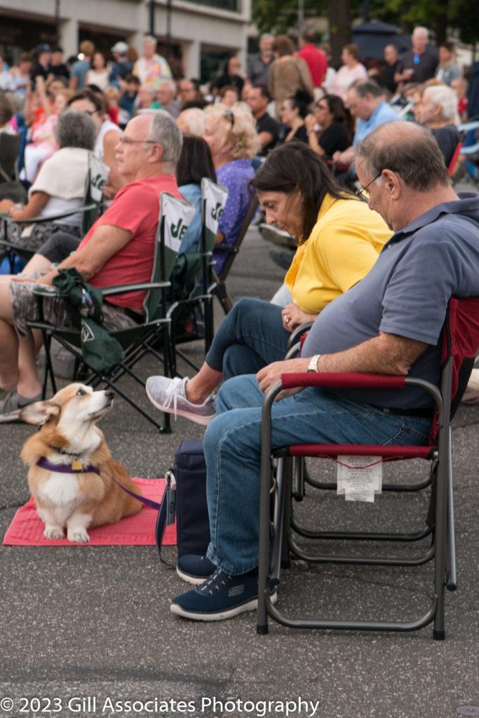 Dogs love Downtown Sounds too